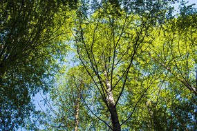 ˮɼ���ֽ���