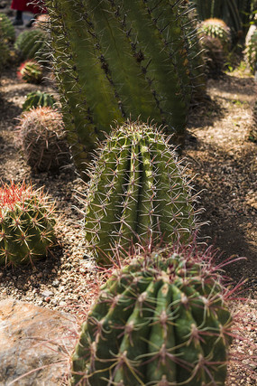 ����������