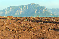 ƶ������