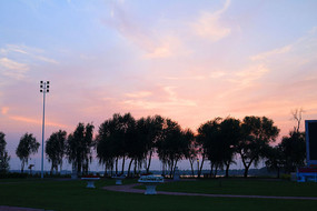 ��ϼ����