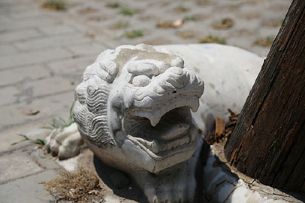 ��ʨ�ӱ���ʯ����