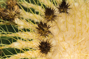 ��������д