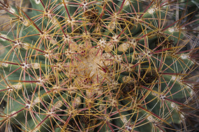 ��������д