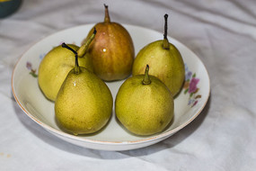 �½�������