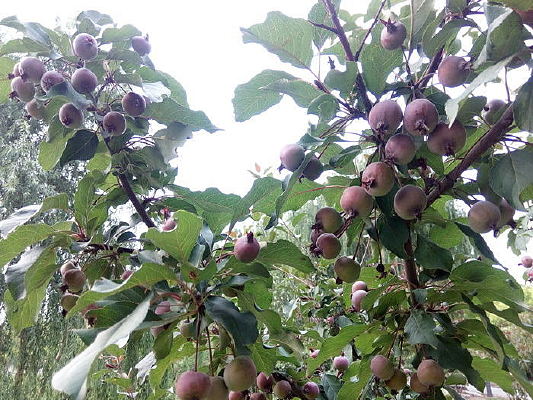 ������ʵ�ĺ�����