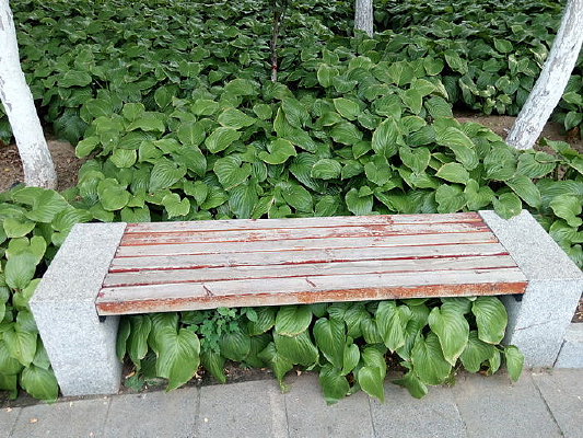 ���ڻ��Ե�С����