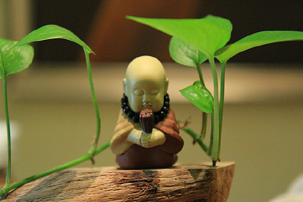 ���Ļ��ڼ�