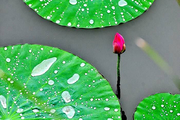 ������������