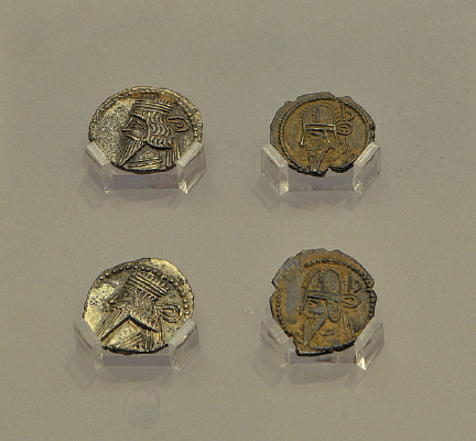 ����¡���