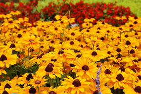 ʢ���ĺ��ľջ�����