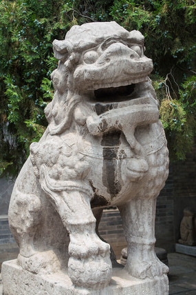 ������ʯʨ