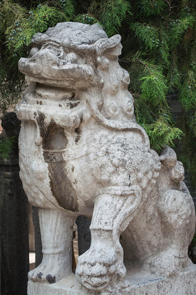 �����������ʯʨ