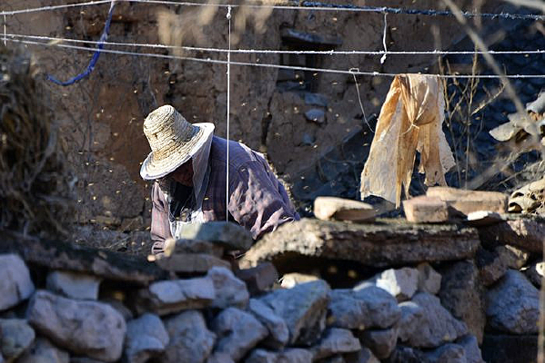 �����˹�������