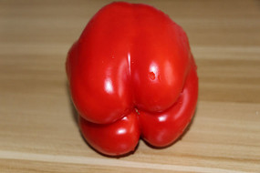 ˵ĺɫʽ