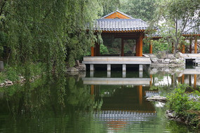 ԰�־��۵�Ӱ��ˮ�е�ͤ��