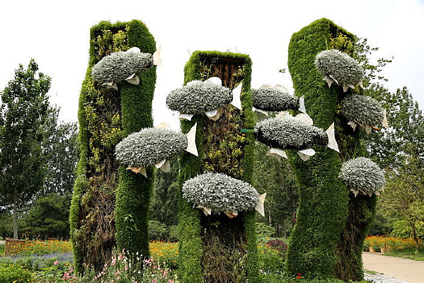 ԰���쾰ɭ����Ⱥ