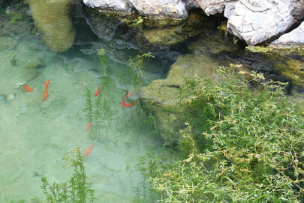 �����еĺ�ɫ����