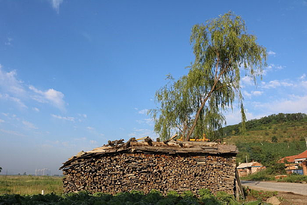 ������ľͷ����