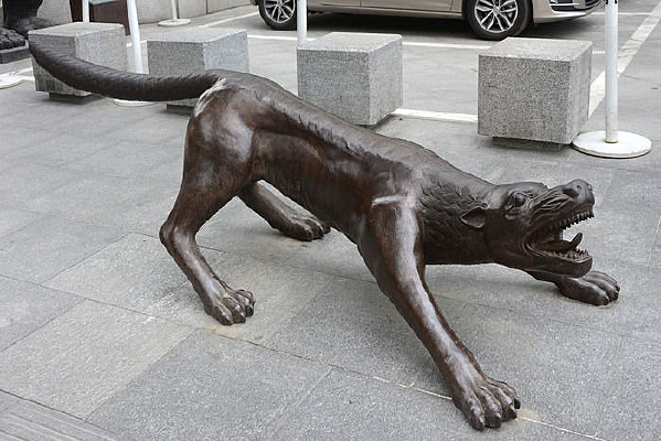 ���ܶ���