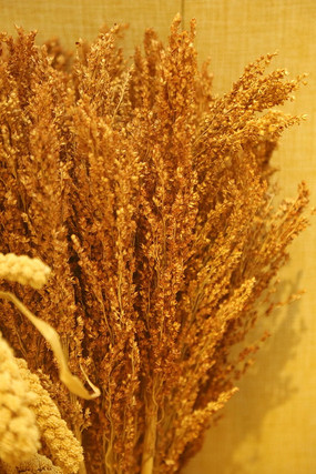 ���յĽ�ƵĴ�����