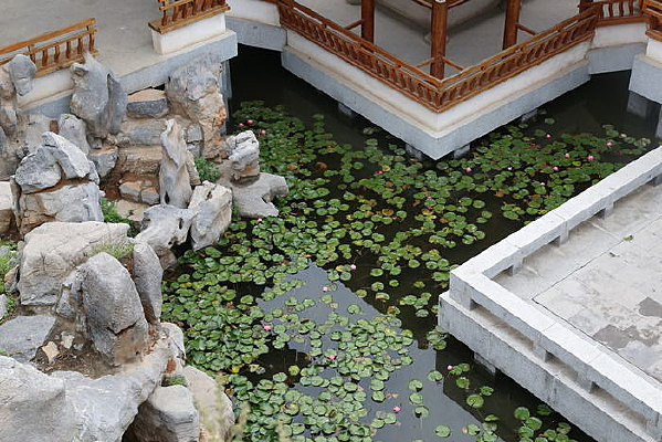 ���Ӽ�ɽ԰�ֵ�������