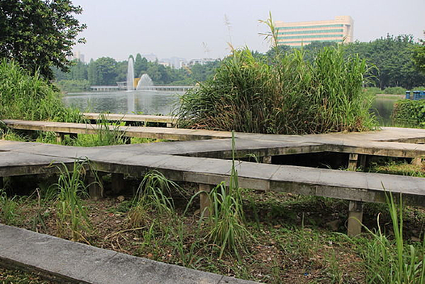 ����ʯ��·