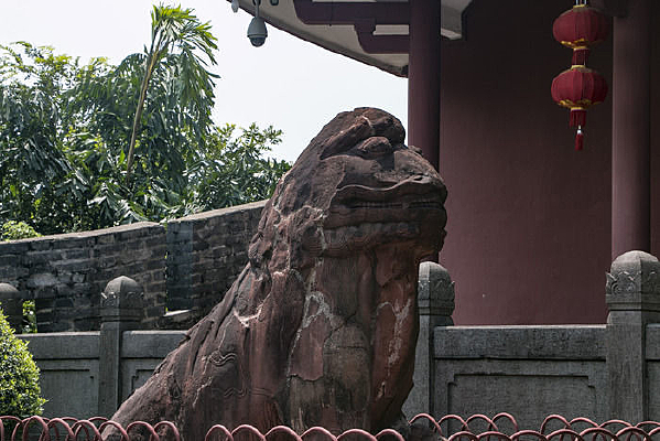 ��ɫ��ʯ��ʨ��