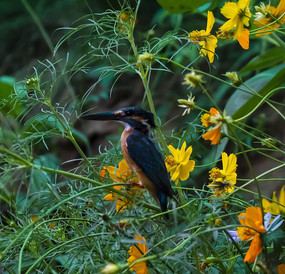 �����е����