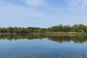 ������д