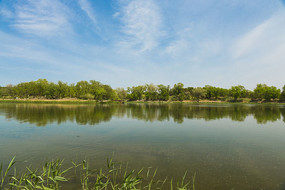 ����Զ��