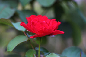 ���޵��¼���