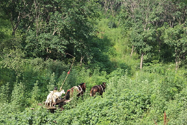 ��������ȥ����