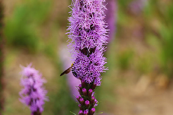 �λð��������ϻ�