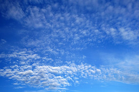 �ܼ��İ���