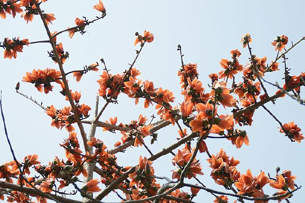 ľ��������дͼƬ