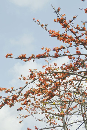 ľ����������дͼƬ