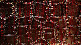 Ƥ����������