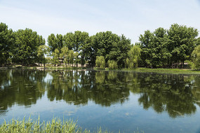 ƽ���ĺ���ȫ��