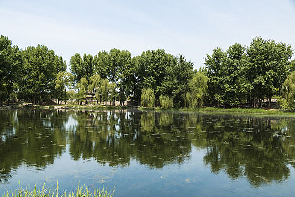 ����ȫ��