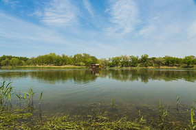 ƽ������