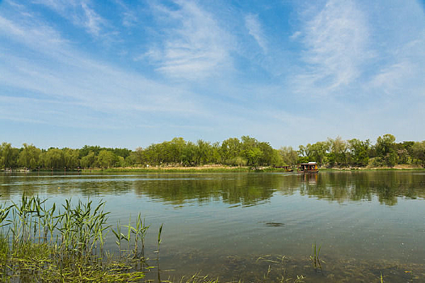 ƽ���������