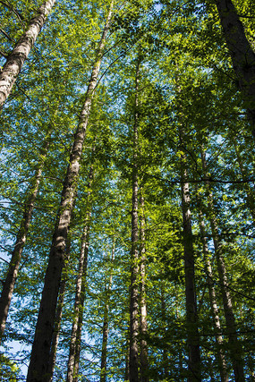 ȫ��ˮɼ����