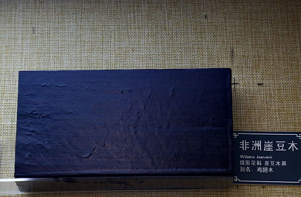 ʵľ�������Ϸ����¶�ľ