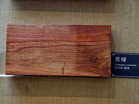 ʵľ�������Ͽ�����