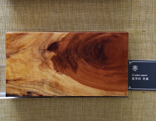 ʵľ������������