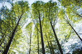 ˮɼ���ֽ���