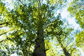 ˮɼ���ֽ���ͼ