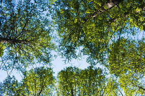 ˮɼ����ȫ��