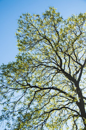 ���ֽ���