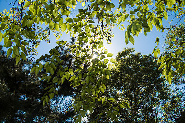 ���־ֲ���